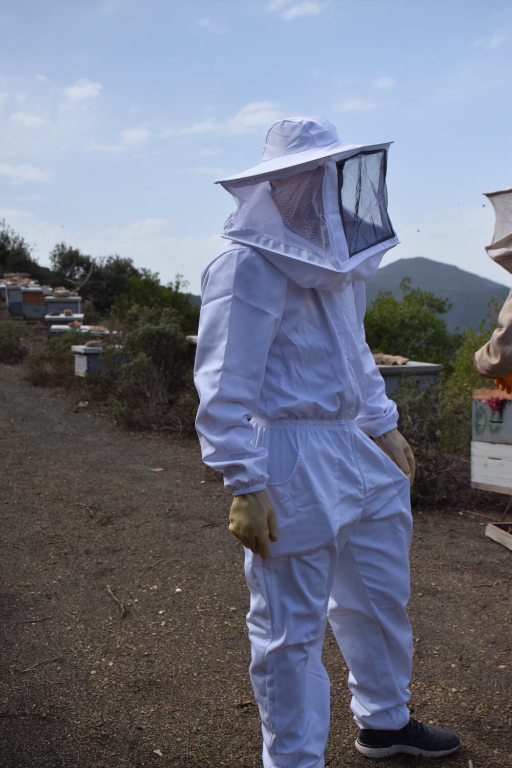 Apiculteur en tenue de protection blanche dans un rucher
